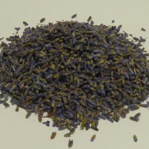Lavendel