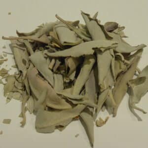 Weisser Salbei