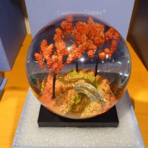 CoolSnowGlobe Autumn