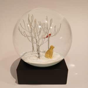 CoolSnowGlobe Lab in Woods