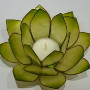 Lotuslicht lindengrün