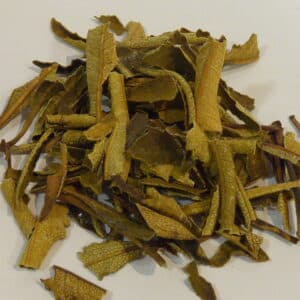 Yerba Santa